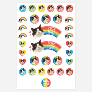 Rainbow Brights Pet Personalised Stickers