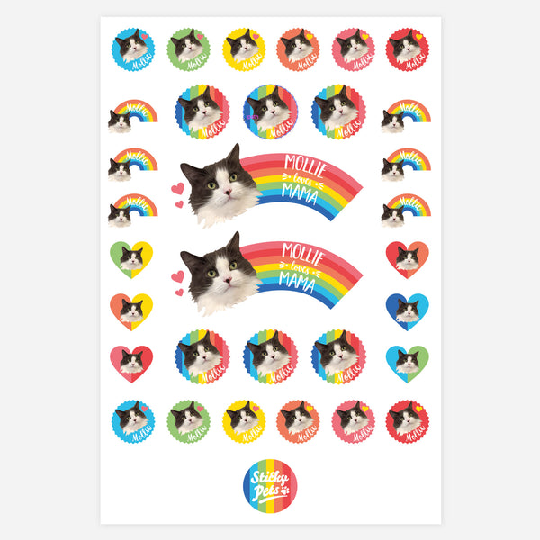 Rainbow Brights Pet Personalised Stickers