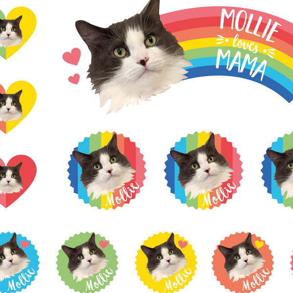 Rainbow Brights Pet Personalised Stickers